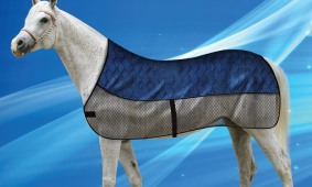 Aqua Coolkeeper Cooling Horse Blanket