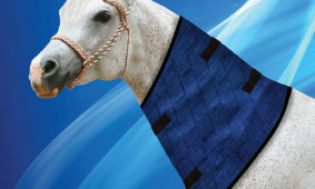 Aqua Coolkeeper Cooling Horse Neckcooler