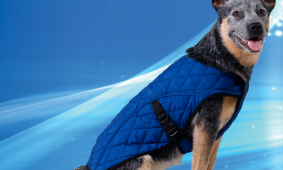 Aqua Coolkeeper Cooling Pet Jacket