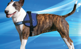 Aqua Coolkeeper Cooling Survival Harness